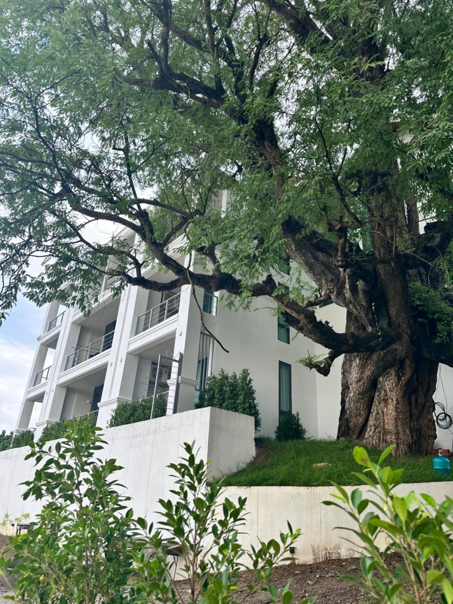 Sokview Residence Luang Prabang Exteriör bild